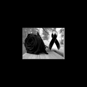 Meet your Posher, Fidel